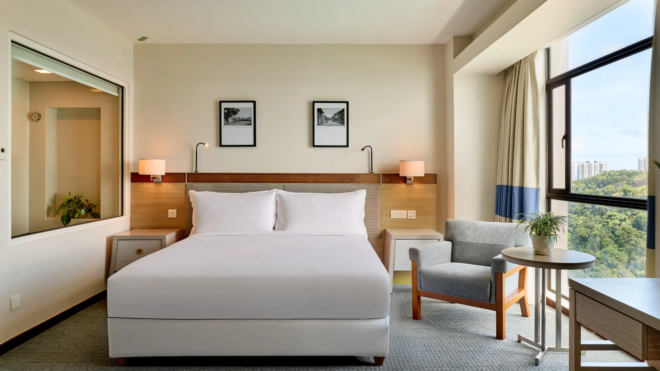 Deluxe Suite King Bed 1