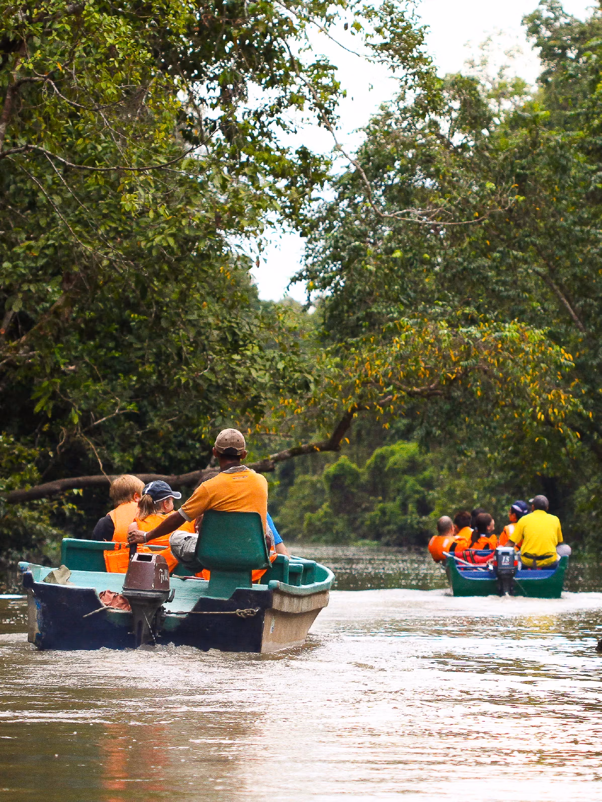 Kinabatangan 03