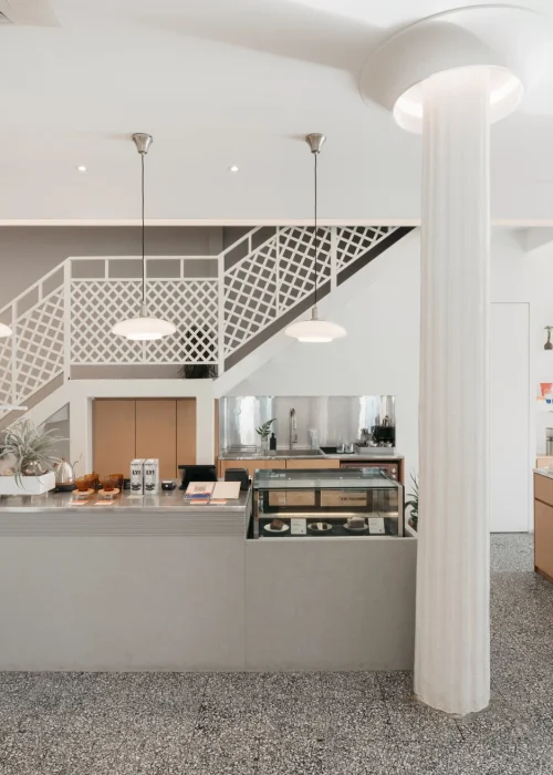 Forest Cloud 20 068a7cd2 3d7d 4217 93c6 ed53c7d47222