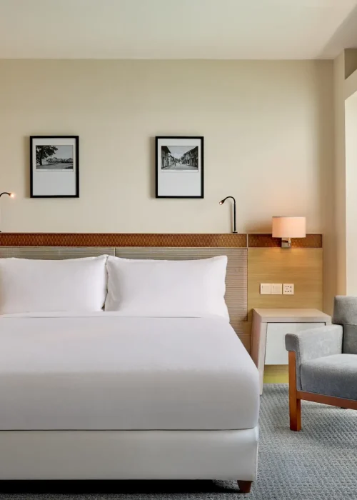 Deluxe Suite King Bed