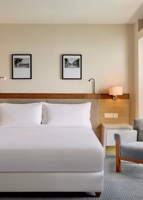 Deluxe Suite King Bed